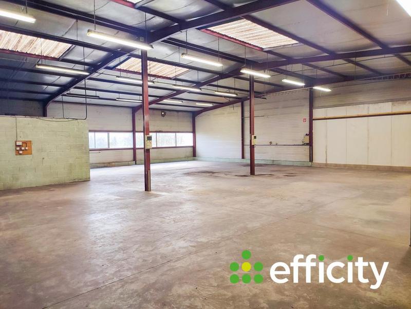 Bureau - 550 m² - 5 pièces