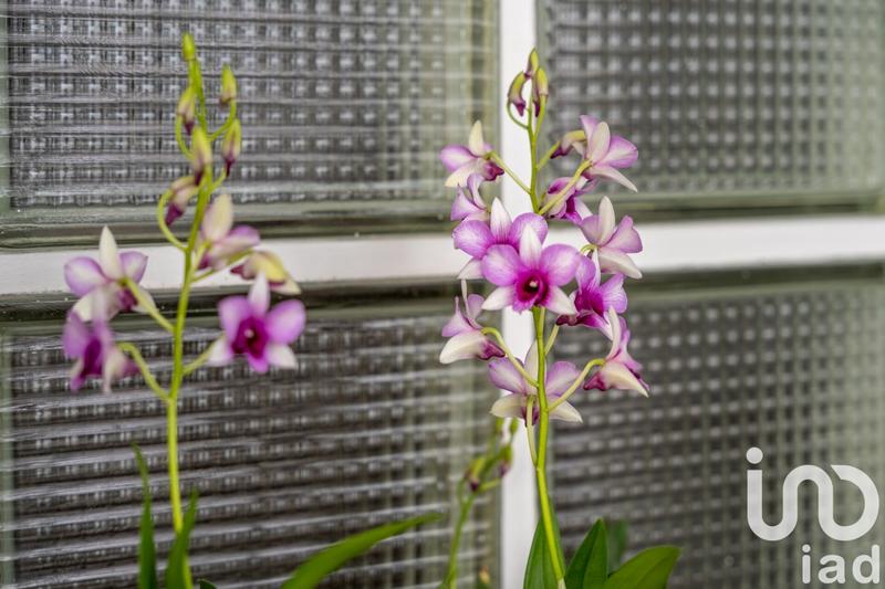 Maison - 369 m² - 12 pièces