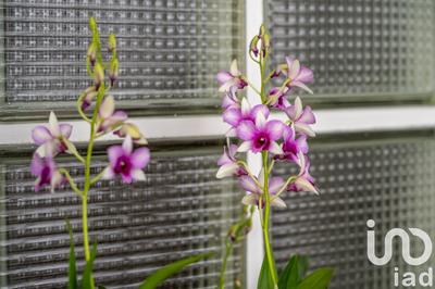 Maison - 369 m² - 12 pièces