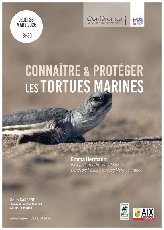 Conférence : Connaître et protéger les tortues marines