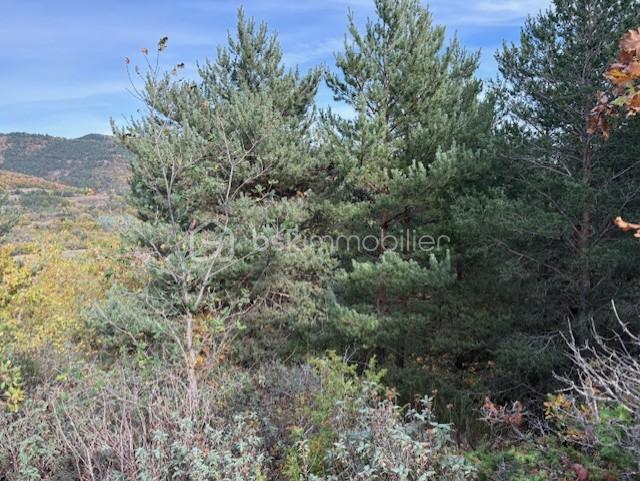 Terrain de loisirs - 10 850 m²