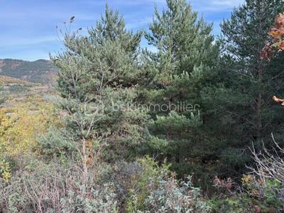 Terrain de loisirs - 10 850 m²