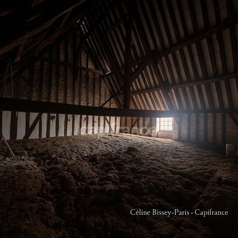 Maison - 250 m² - 9 pièces