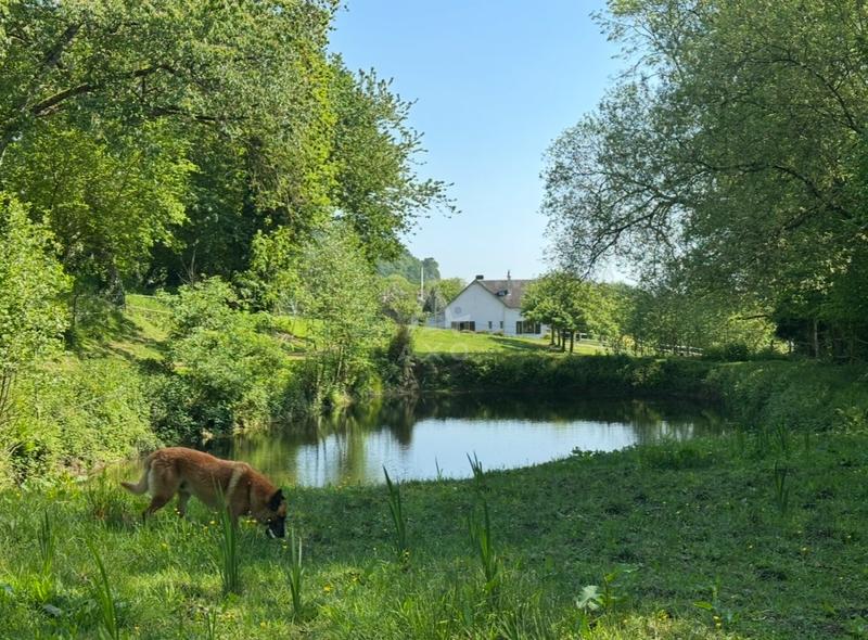 Haras - 130 m² - 5 pièces