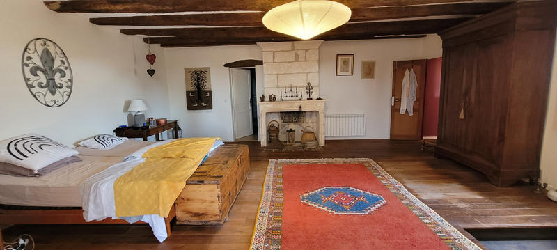 Viager - Maison - 515 m² - 17 pièces