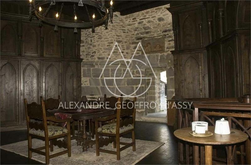 Château - 3 500 m² - 30 pièces