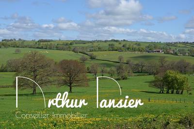 Terrain agricole - 36 225 m²