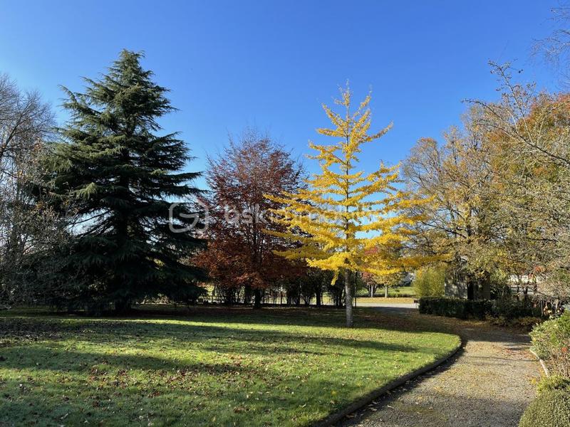 Maison traditionnelle - 206 m² - 7 pièces