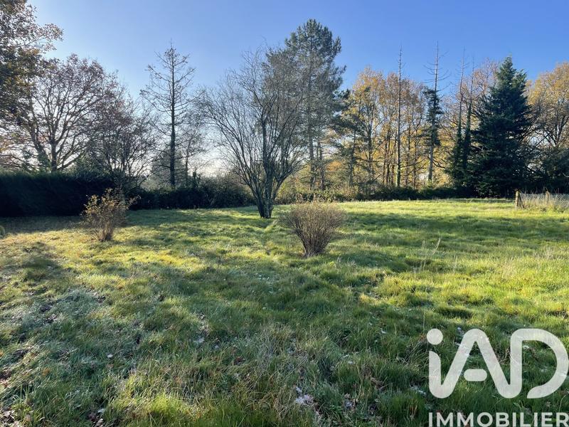 Maison - 101 m² - 5 pièces