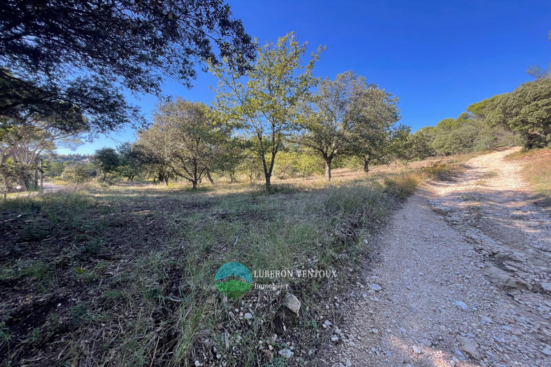 Terrain agricole - 2 790 m²