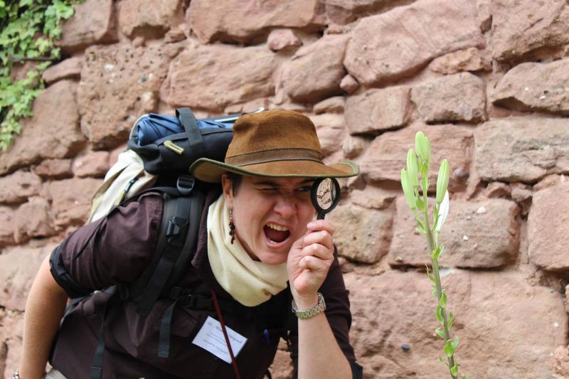 Balade contée - Fantastiques lutins