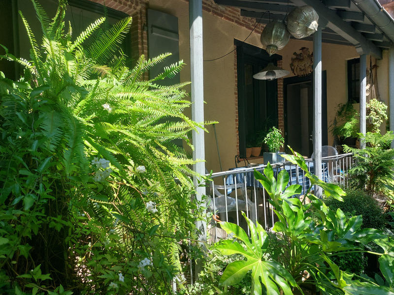 Maison - 230 m² - 6 pièces