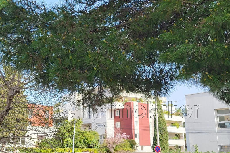 Appartement - 45 m²