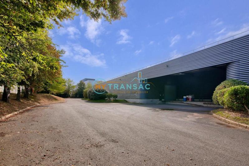 Local d'activité / Entrepôt - 3 384 m²