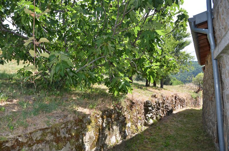 Corps de ferme - 82 m² - 5 pièces