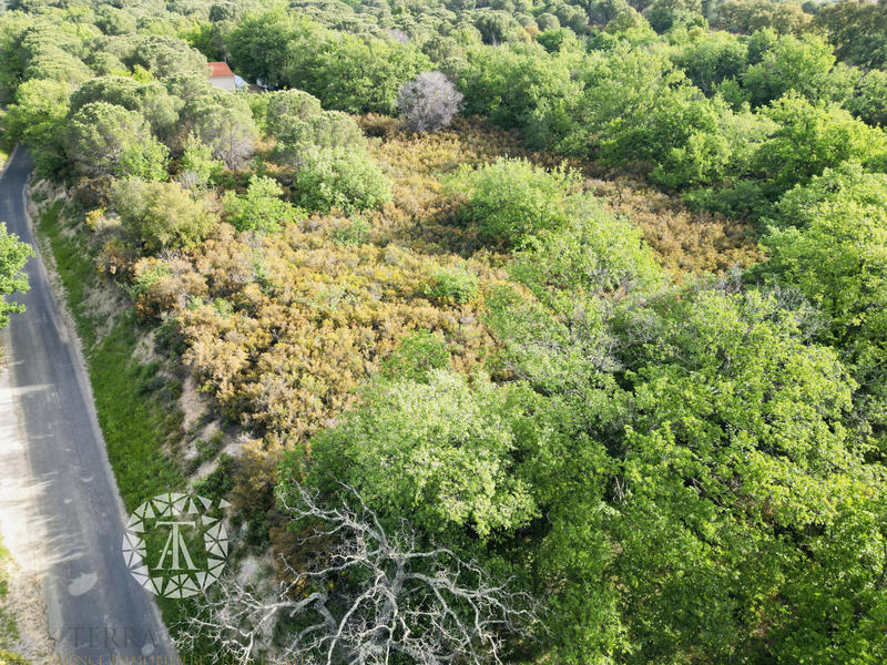 Terrain agricole - 2 600 m²