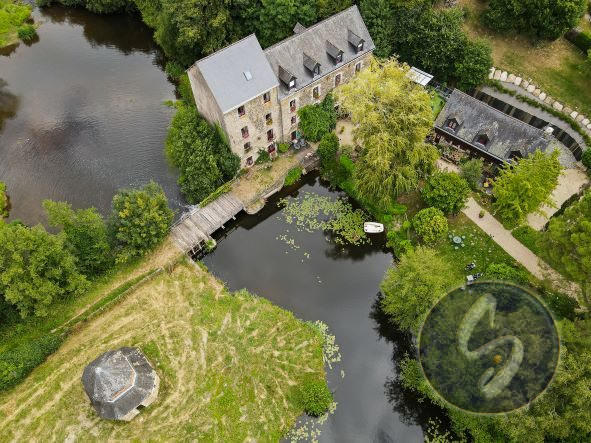 Maison - 616 m² - 19 pièces