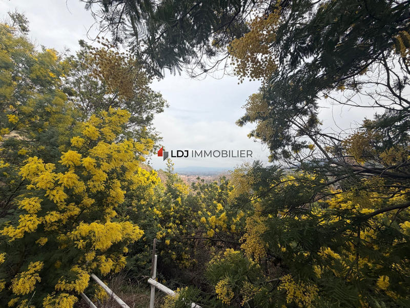 Terrain agricole - 6 500 m²