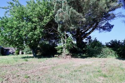 Maison - 137 m² - 6 pièces