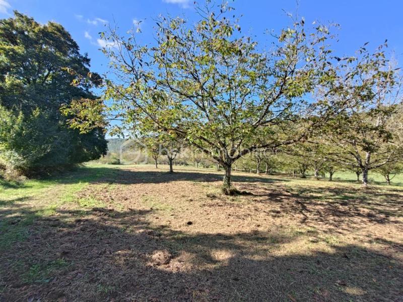 Maison en pierre - 132 m² - 6 pièces