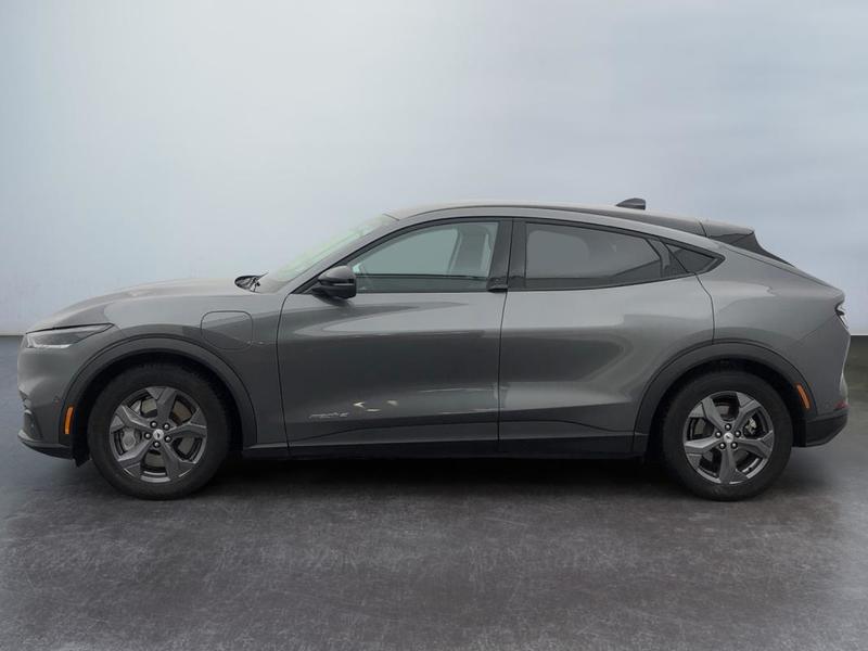 Ford Mustang Mach-E Standard Range 76 kWh 269 ch