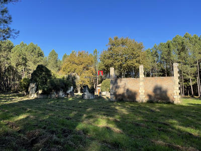 Terrain de loisirs - 154 100 m²