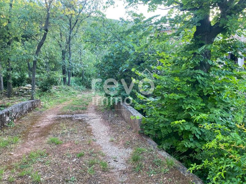 Propriété viticole - 251 m² - 11 pièces