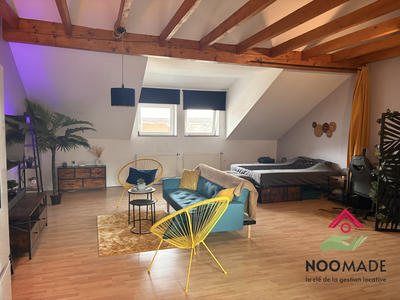 Loft - 45 m² - 1 pièce