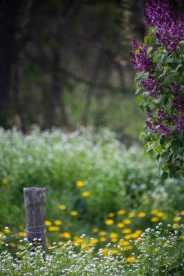 Balade Botanique avec Wawa
