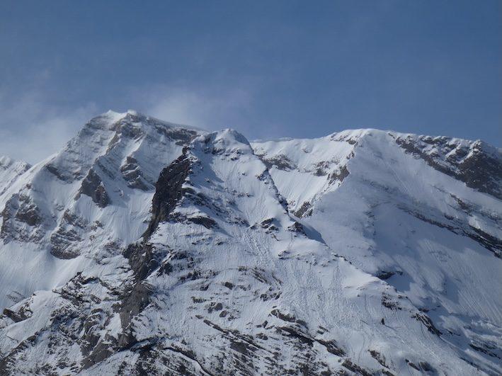 Appartement - 28 m² - 1 pièce