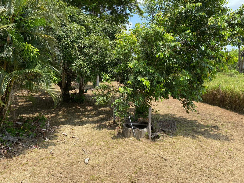 Terrain agricole - 62 539 m²