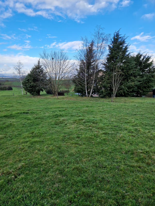 Terrain - 1 500 m²