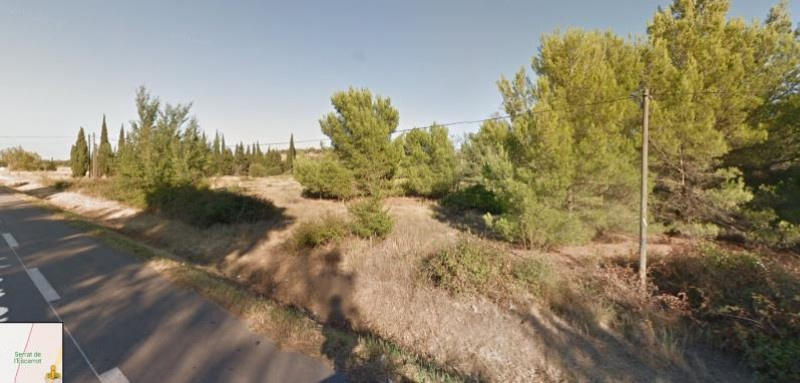 Terrain - 31 350 m²