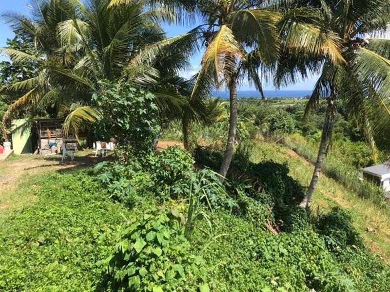 Terrain constructible - 688 m²