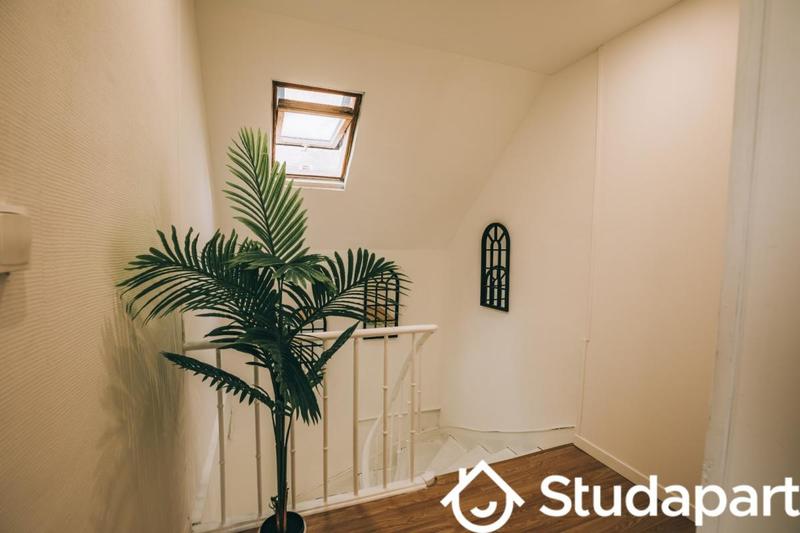 Chambre - 14 m² - 1 pièce