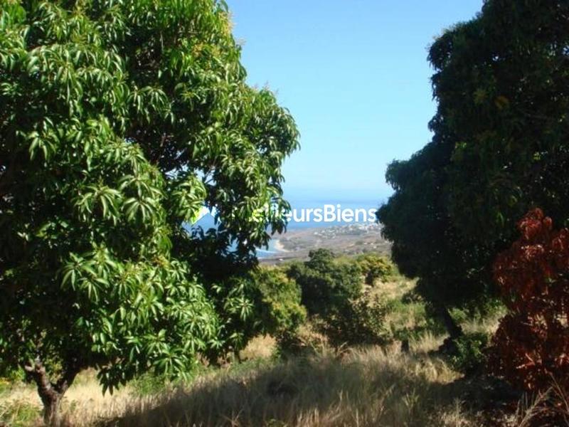 Terrain constructible - 3 650 m²