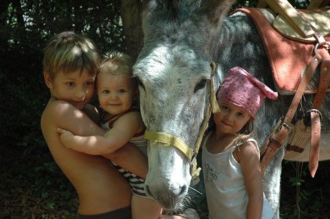 Sherp'Ânes les ânes du Causse