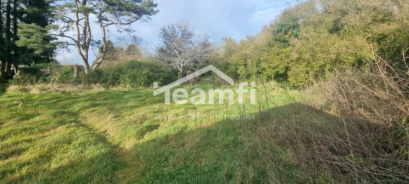 Maison - 230 m² - 9 pièces