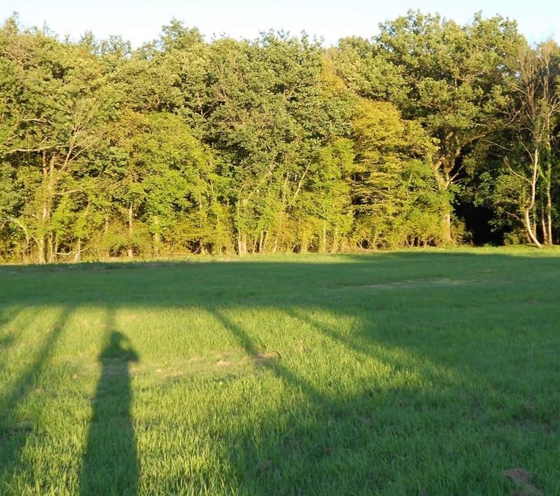 Propriété - 320 m² - 8 pièces