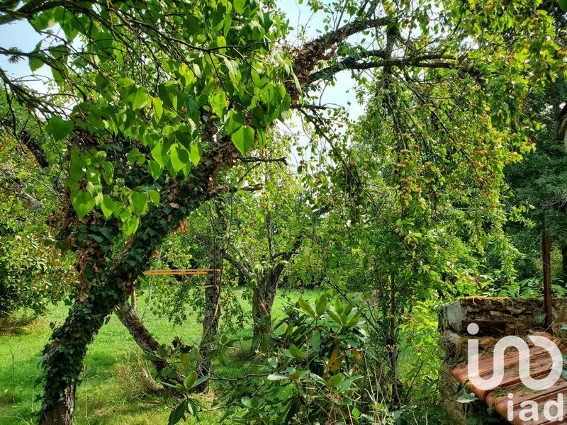 Maison - 214 m² - 8 pièces