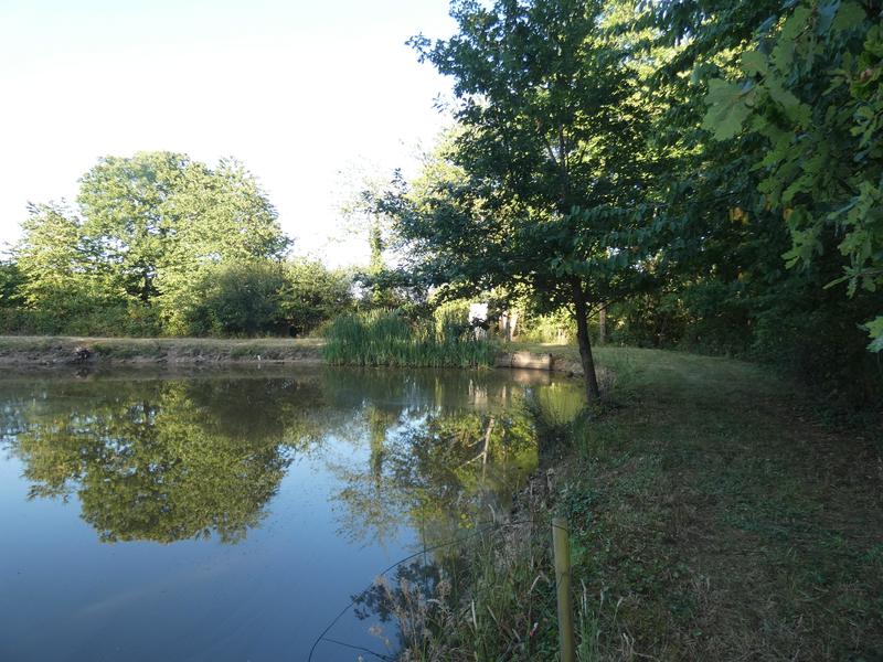 Terrain de loisirs - 11 460 m²