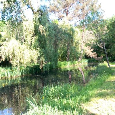 Maison - 81 m² - 4 pièces