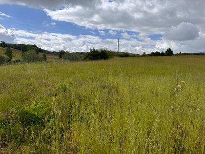 Terrain constructible - 1 010 m²