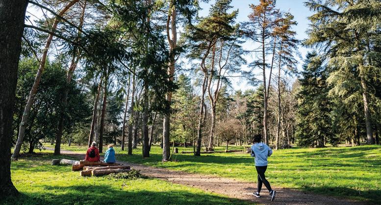 Appartement - 77 m² - 4 pièces