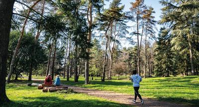 Appartement - 77 m² - 4 pièces