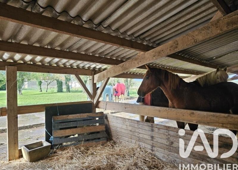 Maison de village - 233 m² - 8 pièces