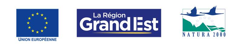 Sur les traces du castor d'Europe