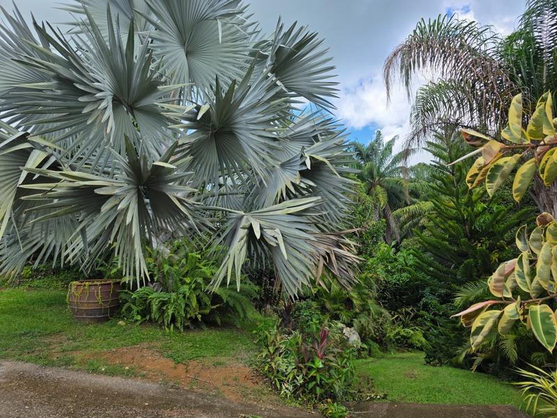 Villa - 180 m² - 9 pièces