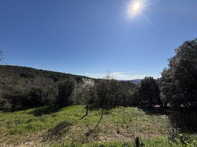 Terrain constructible - 1 330 m²