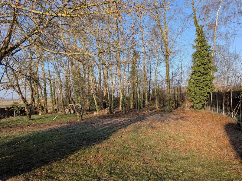 Ferme - 160 m² - 5 pièces